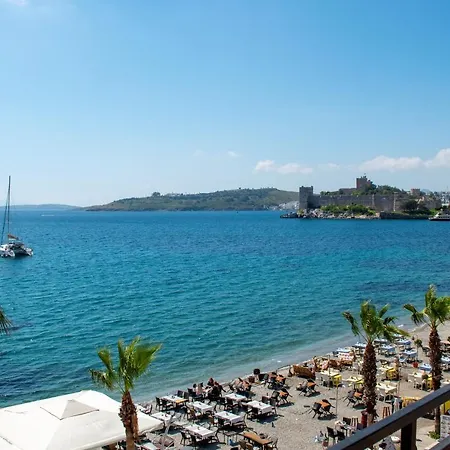 Dinc Bodrum