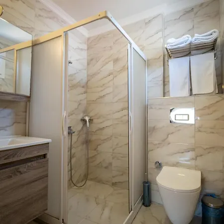 Bed & Breakfast Dinc 3*