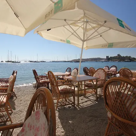 Dinc Couette-café