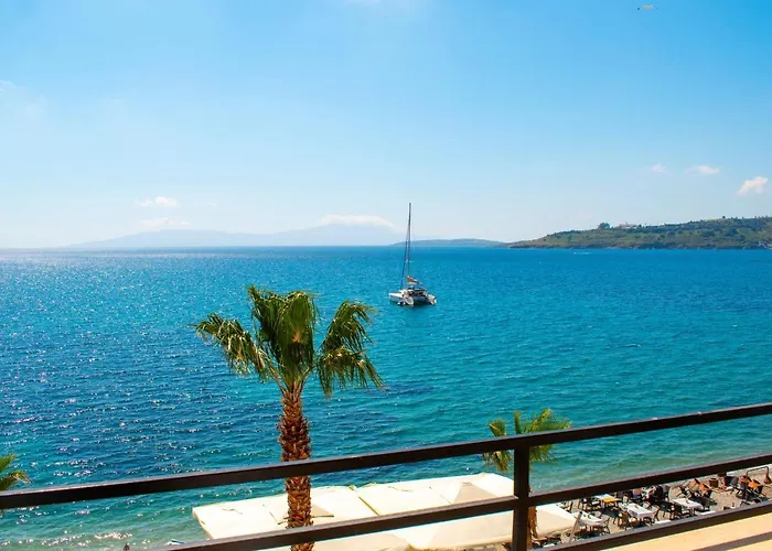 Dinc Bodrum
