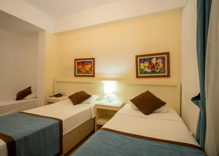 Bed and Breakfast Dinc Αλικαρνασσός