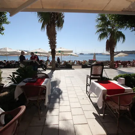 Dinc Bodrum