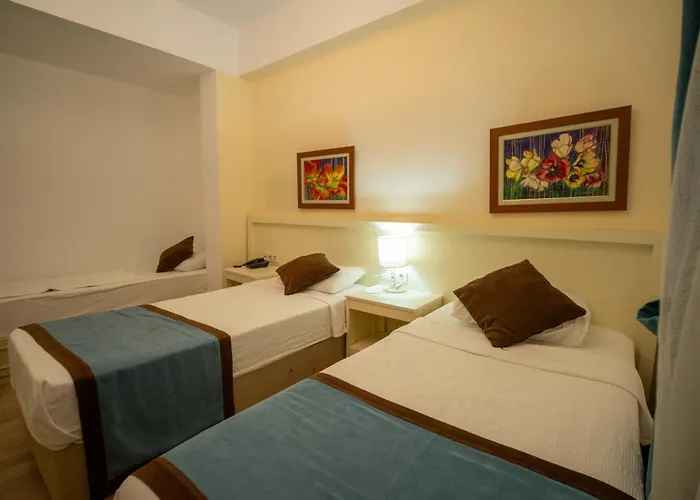 Bed & Breakfast Dinc 4*